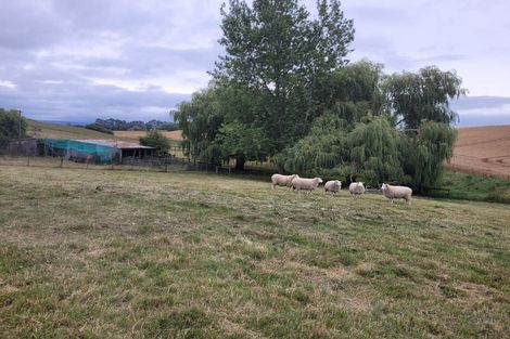 Photo of property in 44 Woolshed Road, Reidston, Oamaru, 9492