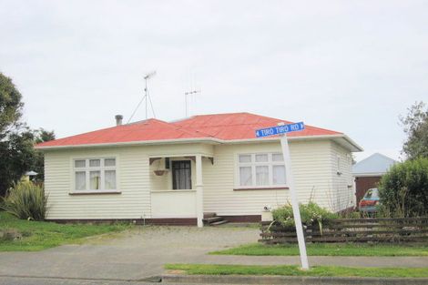 Photo of property in 161 Tiro Tiro Road, Levin, 5510
