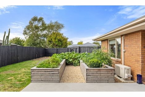 Photo of property in 3 Magnolia Lane, St Albans, Christchurch, 8052