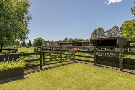 Photo of property in 245 Prestons Road, Marshland, Christchurch, 8051