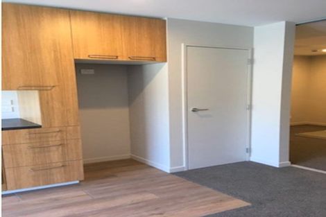 Photo of property in Vsp South, 905/166u Victoria Street, Te Aro, Wellington, 6011