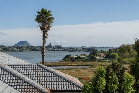 Photo of property in 44 Diamond Head, Hairini, Tauranga, 3112