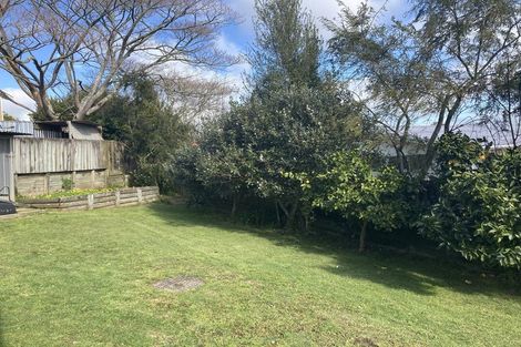 Photo of property in 55 Corrin Street, Melville, Hamilton, 3206