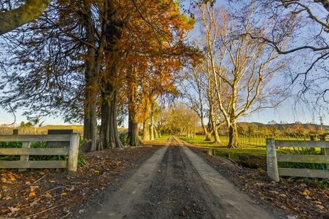 Photo of property in 434 Dartmoor Road, Puketapu, Napier, 4186