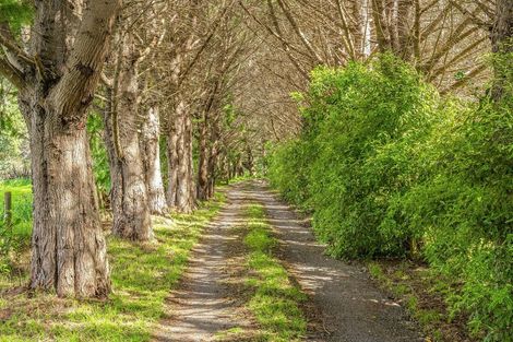 Photo of property in 48 Eucalyptus Way, Nikau Valley, Paraparaumu, 5032