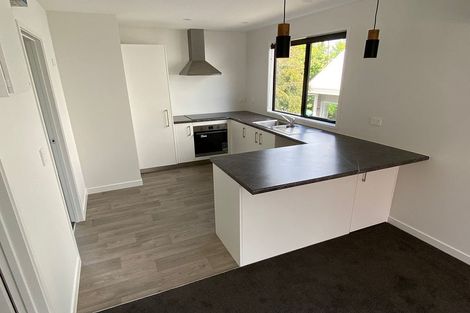 Photo of property in 22a Jefferson Place, Brookfield, Tauranga, 3110