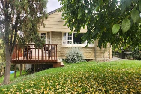 Photo of property in 217 Manuherikia Road, Springvale, Alexandra, 9393