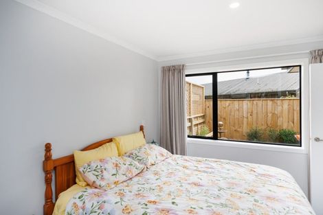 Photo of property in 17 Mccrae Place, Ashhurst, 4810