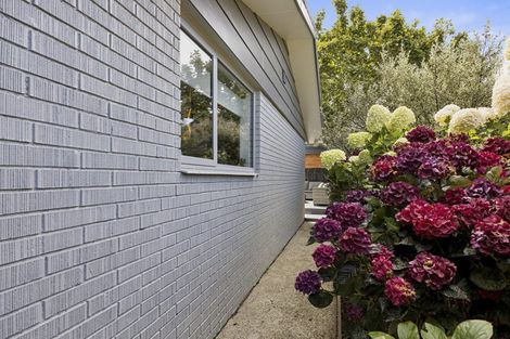 Photo of property in 15b Dall Street, Abbotsford, Dunedin, 9018