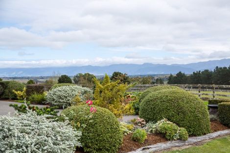 Photo of property in 184 Glenmorven Road, Morison Bush, Greytown, 5794