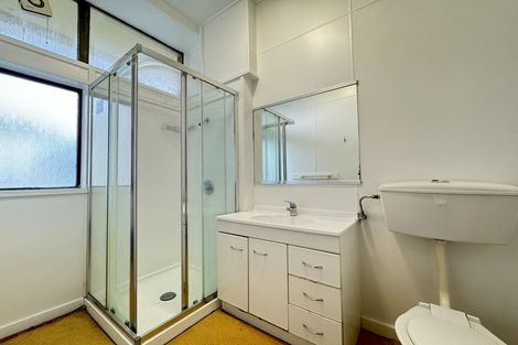Photo of property in Te Awhina Apartments, 22u3 Sussex Street, Mount Cook, Wellington, 6021