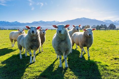 Photo of property in 12 Te Ao Wharepapa Lane, Peketa, Kaikoura, 7373