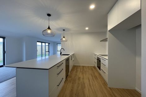 Photo of property in 66 Nethercote Way, Rolleston, 7614