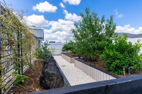 Photo of property in 25 Mike Smith Drive, Cambridge, 3434