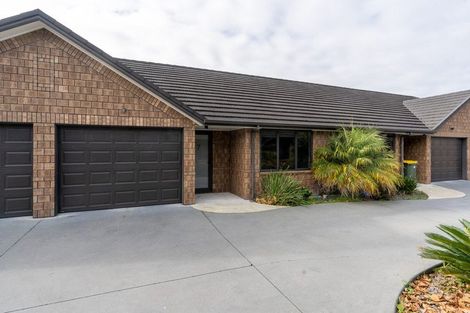 Photo of property in 28u7 Fifth Avenue, Enderley, Hamilton, 3214