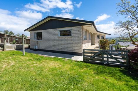 Photo of property in 10 Kilgour Street, Waihola, Milton, 9073