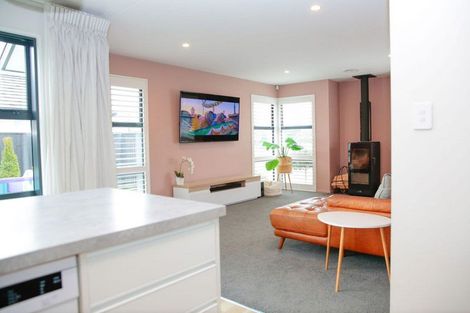 Photo of property in 329 Island Road, Kaiapoi, 7630