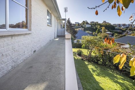 Photo of property in 23 Whitby Street, Mornington, Dunedin, 9011