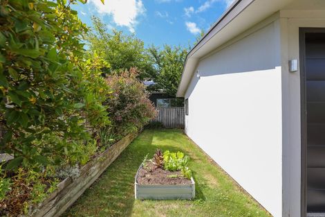 Photo of property in 14 Mere Road, Taupo, 3330