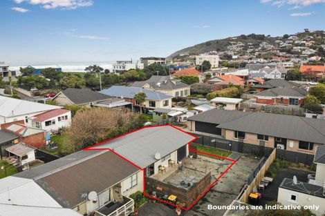 Photo of property in 58c Albert Street, Saint Clair, Dunedin, 9012