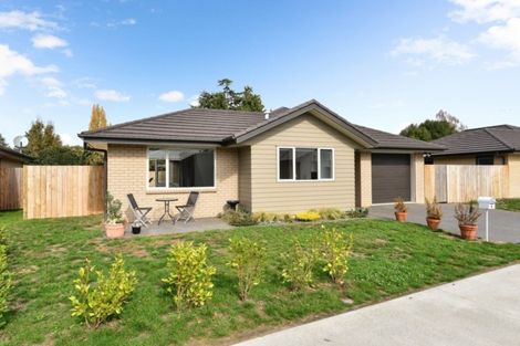 Photo of property in 4 Hawkins Lane, Cambridge, 3434