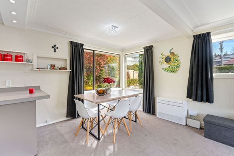 Photo of property in 17 Colquhoun Street, Glenross, Dunedin, 9011