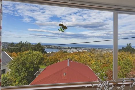 Photo of property in 28a Sheen Street, Roslyn, Dunedin, 9010