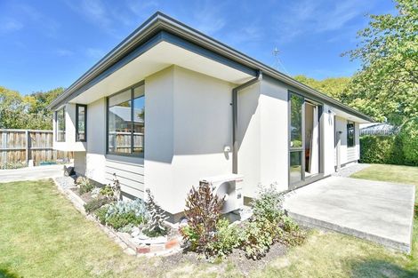 Photo of property in 2/71 Thames Street, Mairehau, Christchurch, 8013