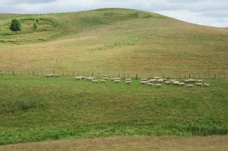 Photo of property in 359 Mangatarata Road, Waipukurau, 4285
