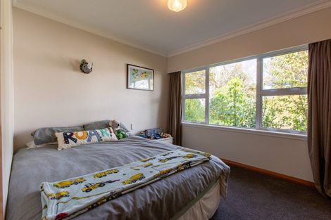 Photo of property in 41 Guy Street, Dannevirke, 4930