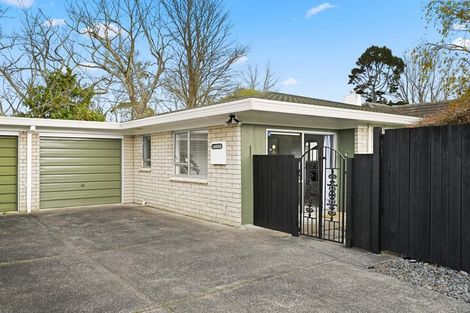 Photo of property in 49 Rimu Street, Maeroa, Hamilton, 3200