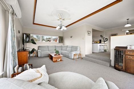 Photo of property in 16 Egmont Street, Chartwell, Hamilton, 3210