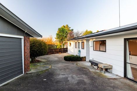 Photo of property in 25 Willowbank Crescent, Feilding, 4702