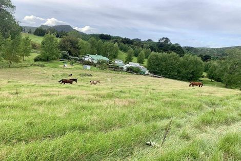 Photo of property in 1819 Mataraua Road, Otaua, Kaikohe, 0474