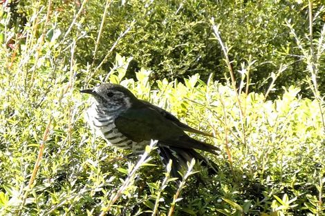 Photo of property in 22 Herring Stream Road, Motueka Valley, Motueka, 7196