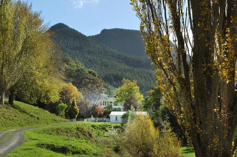 Photo of property in 97 Adams Peak Road, Mangapakeha, Masterton, 5889