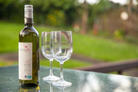 Photo of property in 4 Merville Avenue, Te Atatu South, Auckland, 0610