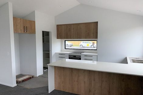 Photo of property in 45 Riverstone Drive, Rolleston, 7614