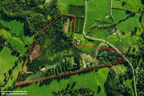 Photo of property in 501 Purangi Road, Purangi, Whitianga, 3591