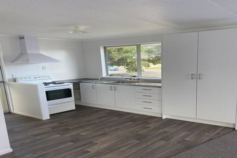 Photo of property in 113 Featherston Street, Palmerston North, 4410