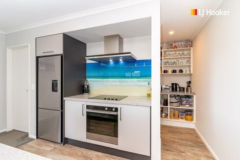 Photo of property in 217a Gladstone Road North, Mosgiel, 9024