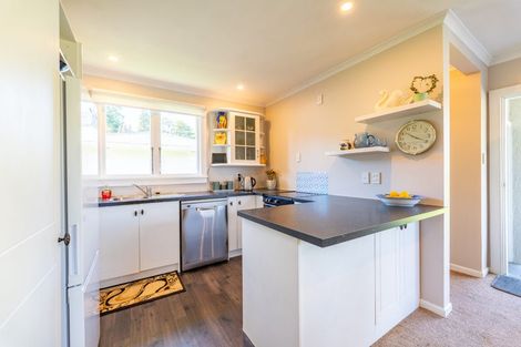 Photo of property in 32 Hislop Street, Geraldine, 7930