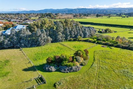 Photo of property in 75 Andersons Line, Clareville, Carterton, 5713