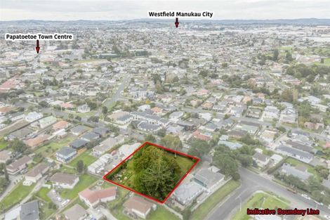 Photo of property in 49 Hillcrest Road, Papatoetoe, Auckland, 2025