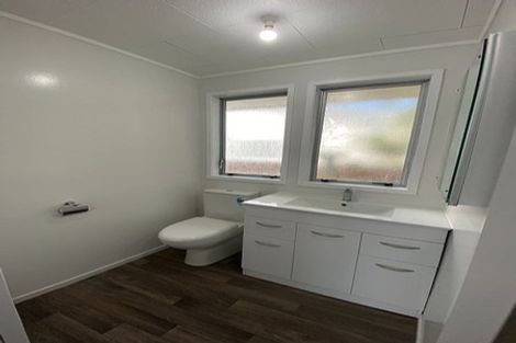 Photo of property in 113 Featherston Street, Palmerston North, 4410