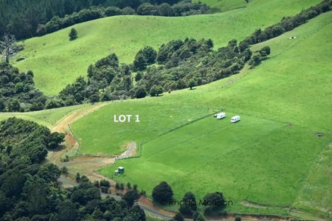 Photo of property in 1 Te Wairoa Lane, Tinopai, Matakohe, 0593