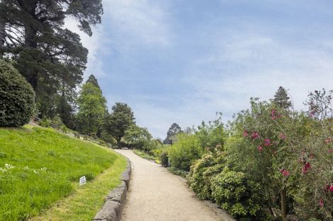 Photo of property in 39 Opoho Road, North East Valley, Dunedin, 9010