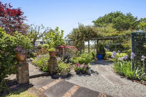 Photo of property in 47 Patu-kukupa Street, Manaia, 4612