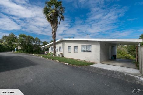 Photo of property in 360 Ohaupo Road, Glenview, Hamilton, 3206