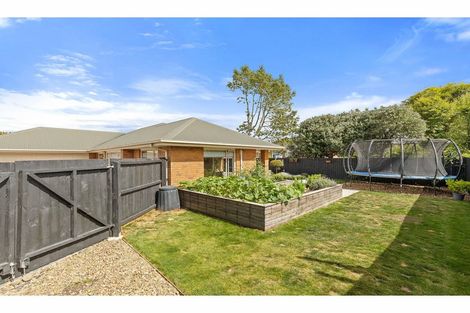 Photo of property in 3 Magnolia Lane, St Albans, Christchurch, 8052
